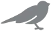 bird icon